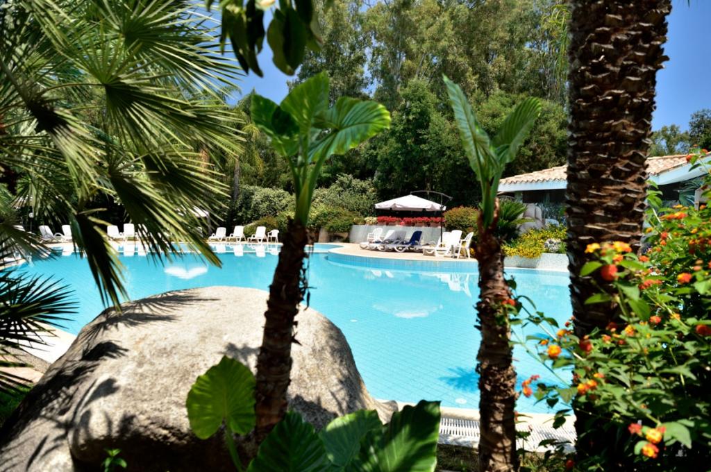 Piscina circondata da palme e lettini, ambiente rilassante e tropicale.