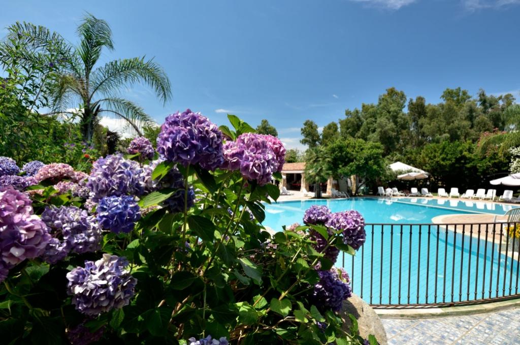 Piscina circondata da ortensie viola e palme sotto un cielo sereno.